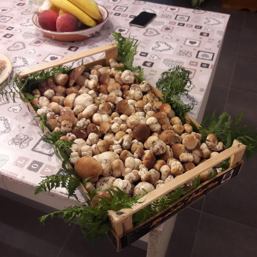 Cat Marvei Apartman Villadossola Kültér fotó